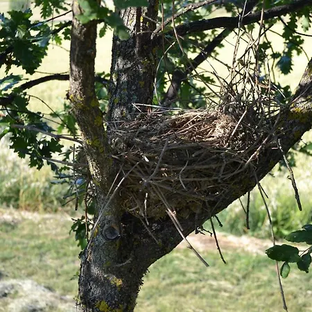 度假居 Il Granaio Grande *