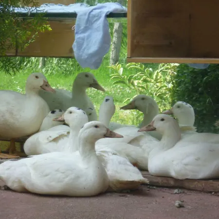 Nyaraló Il Granaio Grande Paciano