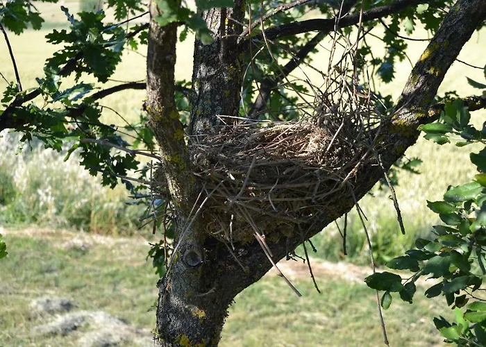 Casa de Férias Il Granaio Grande *