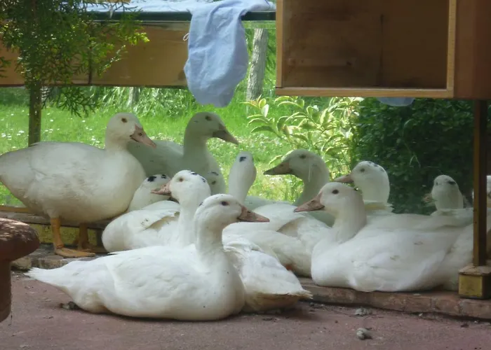 Casa de Férias Il Granaio Grande Paciano